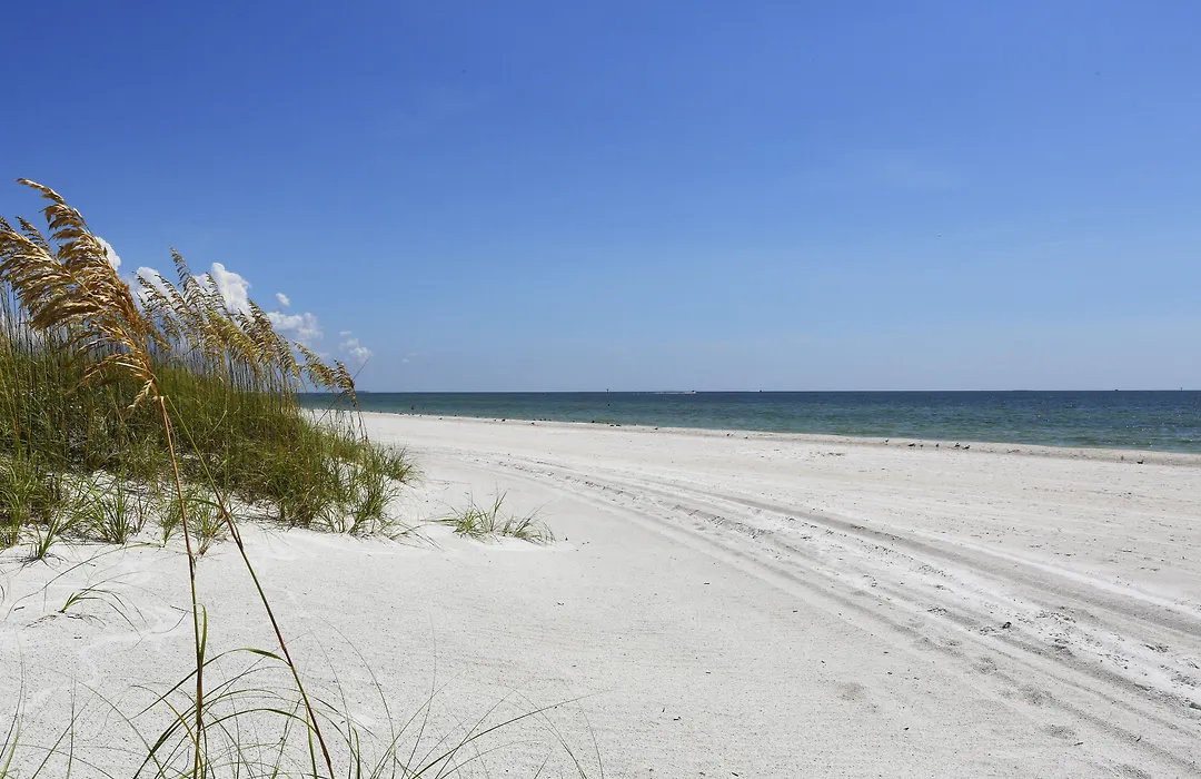 Barefoot Beach Club-1