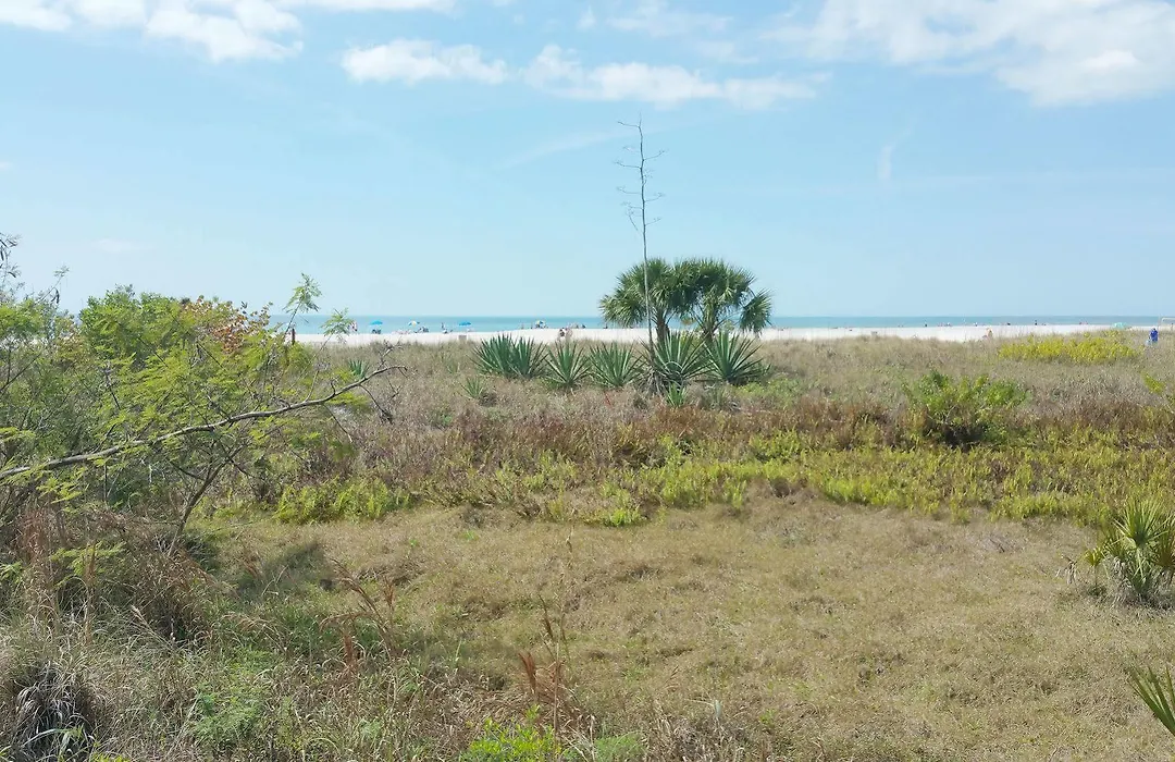 Friendly Native Beach Resort-1